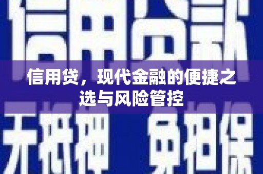 长葛信用贷，现代金融的便捷之选与风险管控