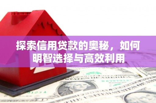 长葛探索信用贷款的奥秘，如何明智选择与高效利用