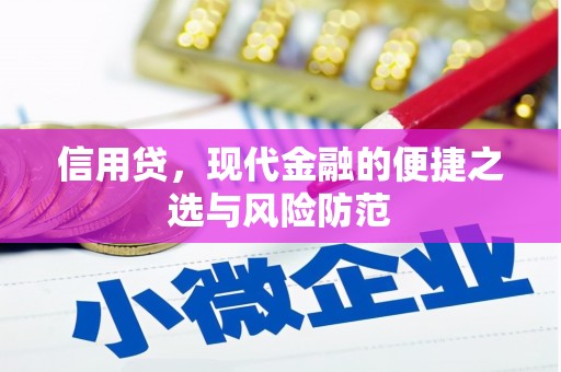 长葛信用贷，现代金融的便捷之选与风险防范