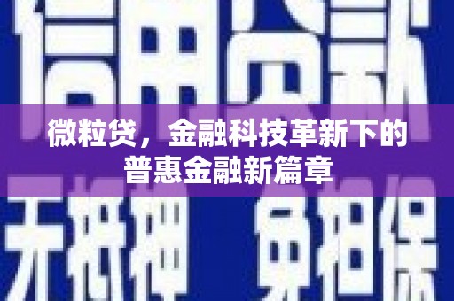 长葛微粒贷，金融科技革新下的普惠金融新篇章