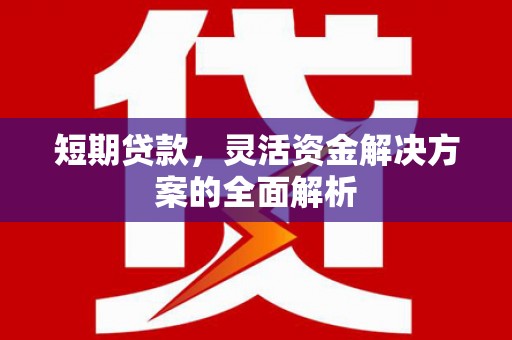 长葛短期贷款，灵活资金解决方案的全面解析