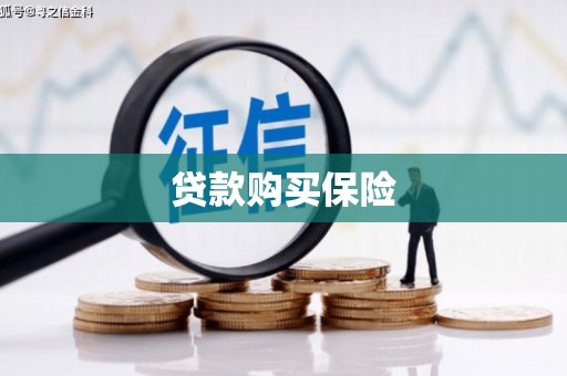 长葛贷款购买保险