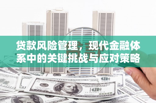 长葛贷款风险管理，现代金融体系中的关键挑战与应对策略
