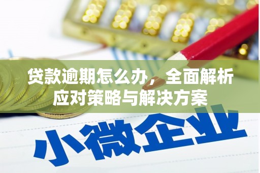 长葛贷款逾期怎么办，全面解析应对策略与解决方案