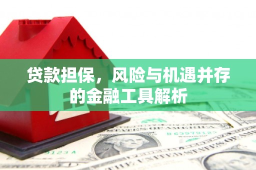 长葛贷款担保，风险与机遇并存的金融工具解析