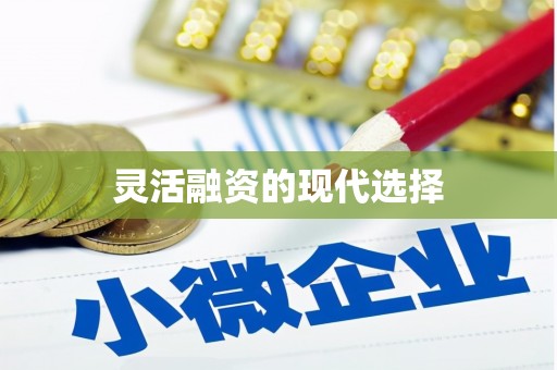 长葛灵活融资的现代选择
