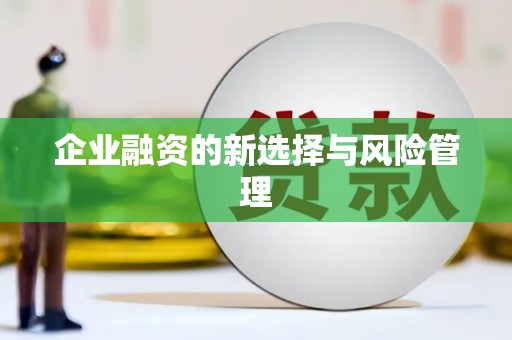 长葛企业融资的新选择与风险管理