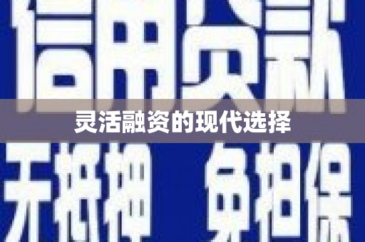 长葛灵活融资的现代选择