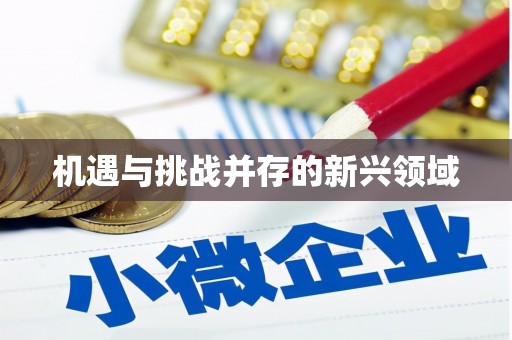 长葛机遇与挑战并存的新兴领域