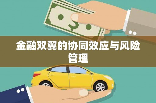 长葛金融双翼的协同效应与风险管理