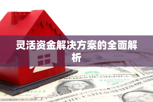 长葛灵活资金解决方案的全面解析