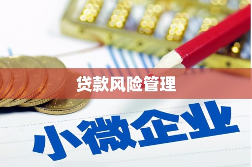 长葛贷款风险管理