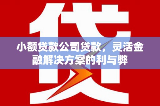 长葛小额贷款公司贷款，灵活金融解决方案的利与弊