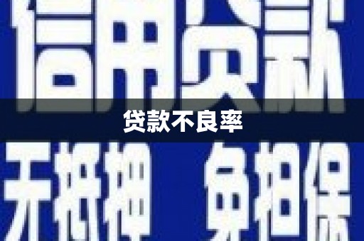 长葛贷款不良率