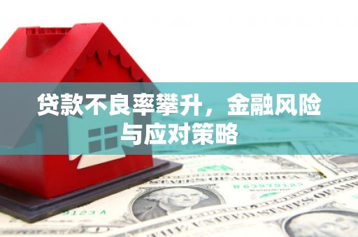 长葛贷款不良率攀升，金融风险与应对策略