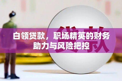 长葛白领贷款，职场精英的财务助力与风险把控